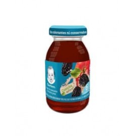 Gerber Jugo 2da Etapa Frasco Con 175 mL...